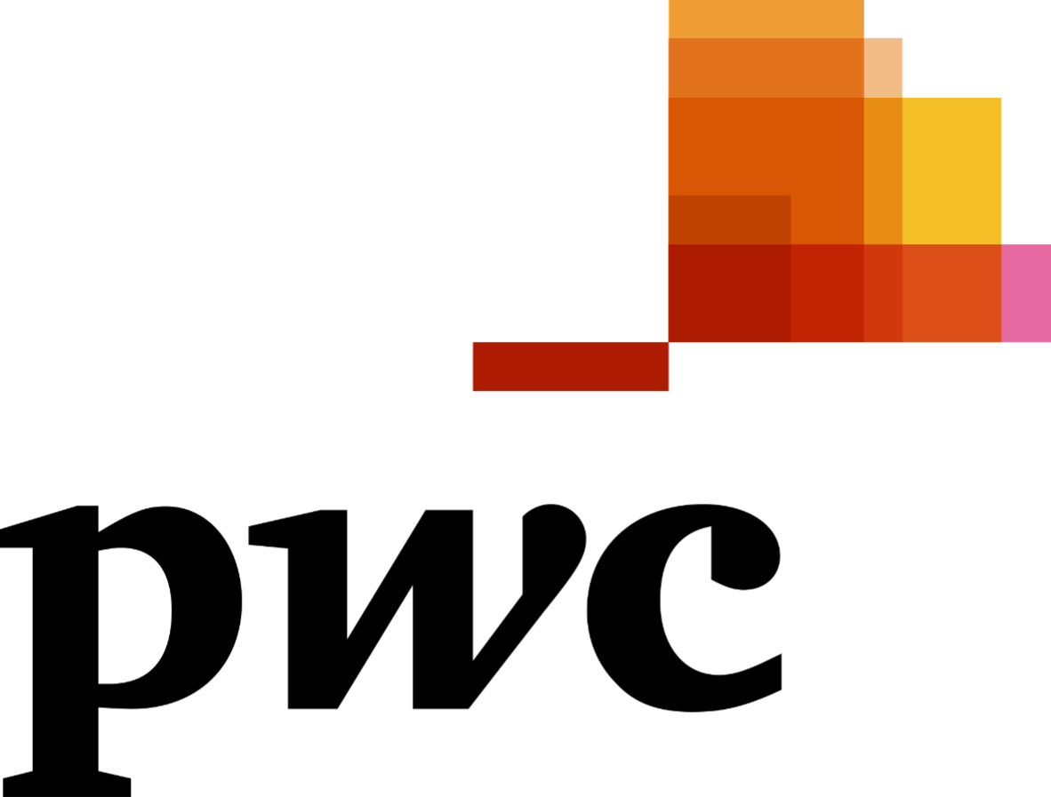 PwC_Logo-300dpi-2